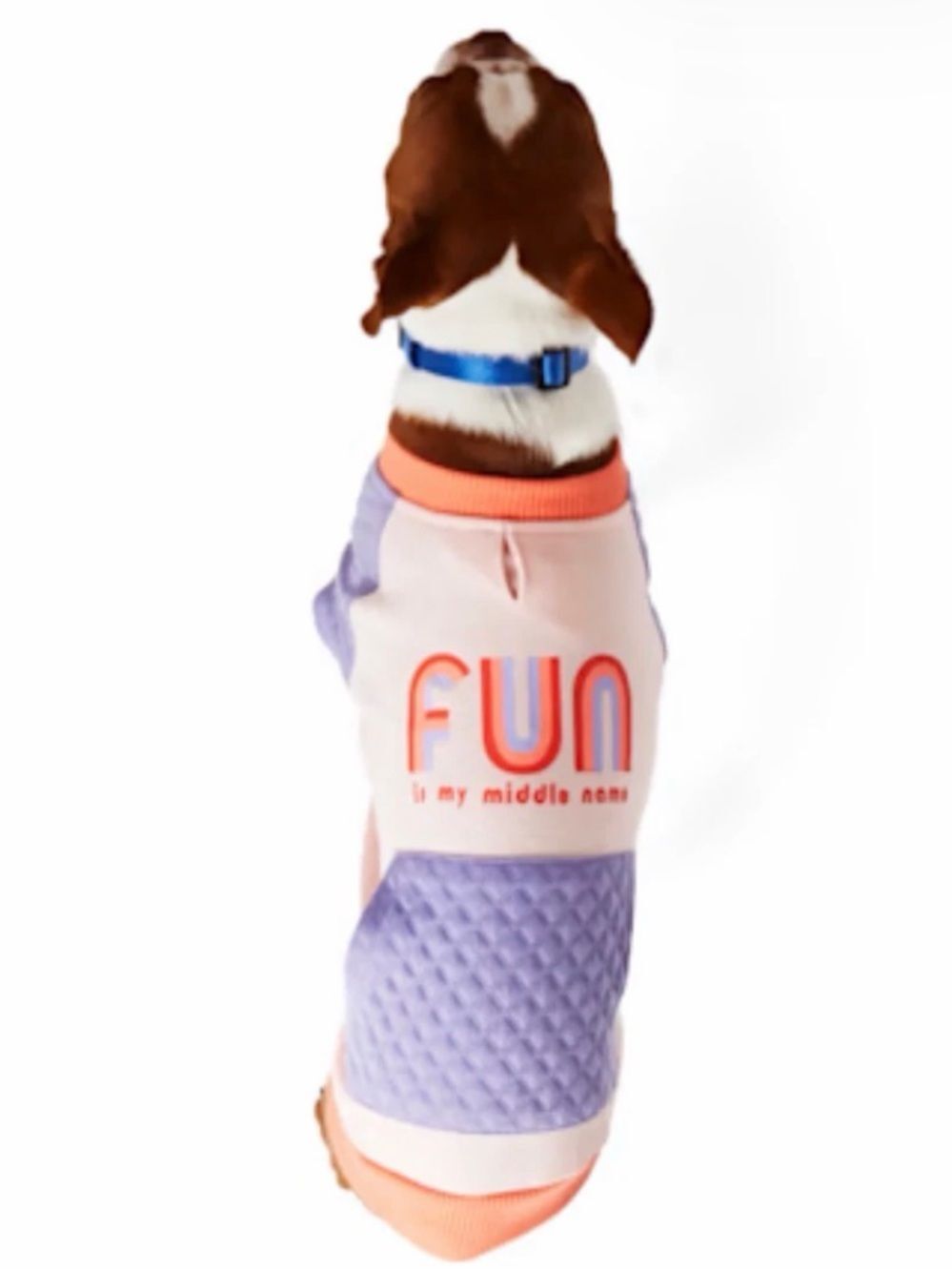 YOULY "Fun is my Middle Name" Crewneck Dog Sweater Shirt Large Sweatshirt